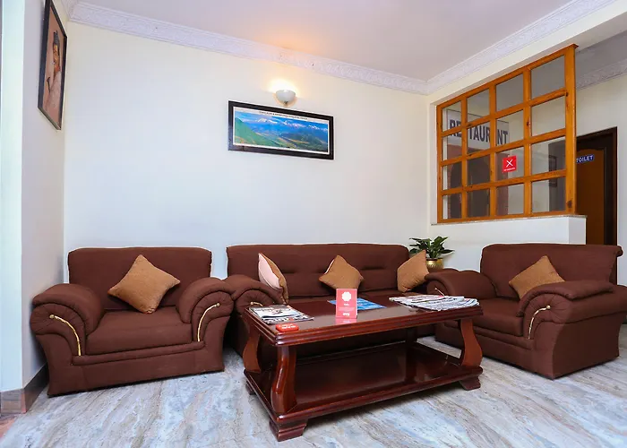 酒店 Alliance Hotel-boudhanath Stupa 3*