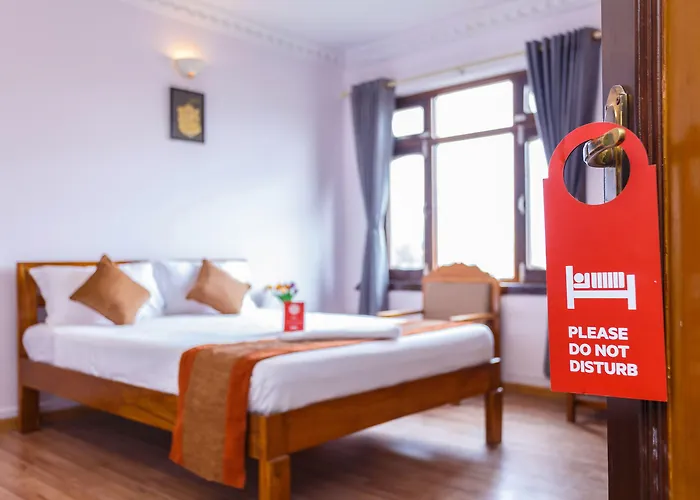 Alliance Hotel-boudhanath Stupa 3* 加德满都
