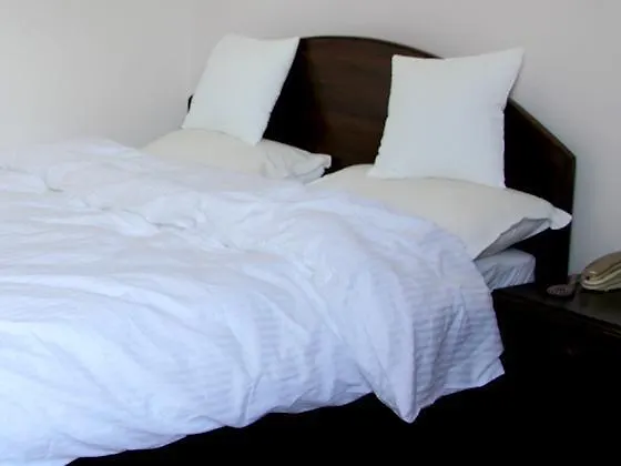 酒店 Alliance Hotel-boudhanath Stupa