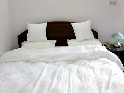 酒店 Alliance Hotel-boudhanath Stupa 3*