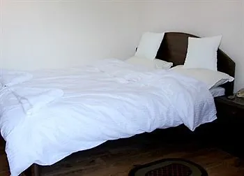 Alliance Hotel-boudhanath Stupa 3* 加德满都