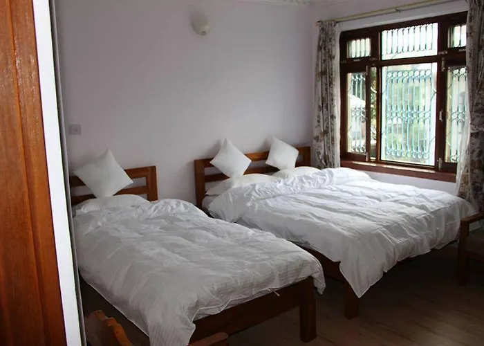 酒店 Alliance Hotel-boudhanath Stupa 加德满都