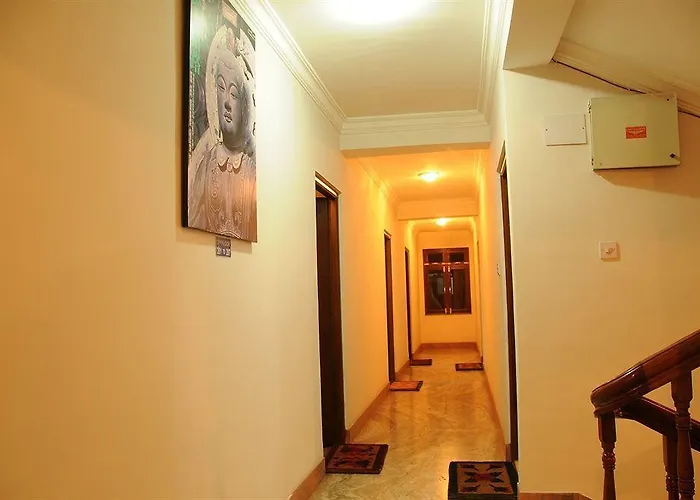 Alliance Hotel-boudhanath Stupa 3* 加德满都