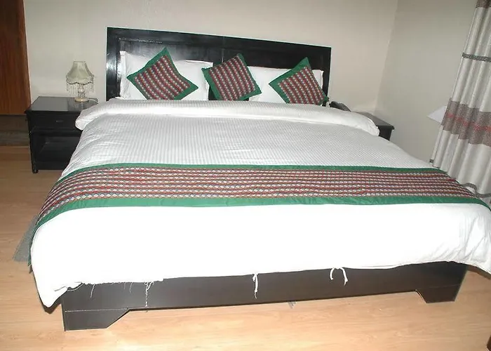 酒店 Alliance Hotel-boudhanath Stupa 3*