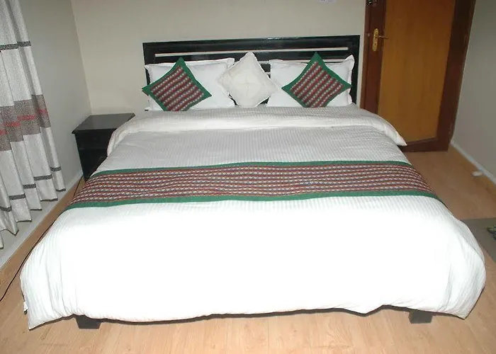Alliance Hotel-boudhanath Stupa 3* 加德满都