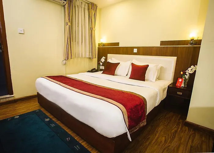 酒店 Alliance Hotel-boudhanath Stupa 3*