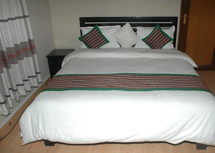 Alliance Hotel-boudhanath Stupa 酒店 加德满都