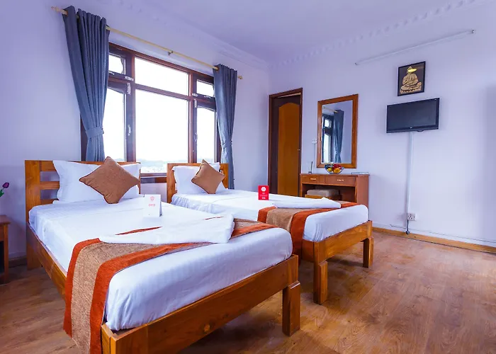 酒店 Alliance Hotel-boudhanath Stupa